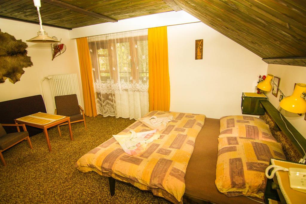 Hotel Privat - Harrachov 392 Pokój zdjęcie