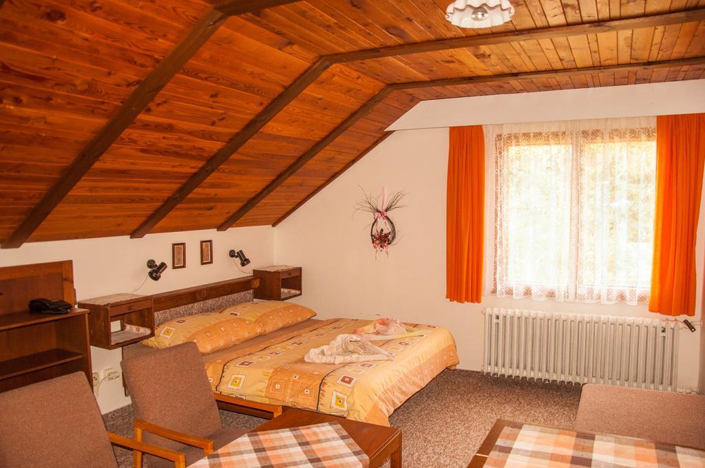 Hotel Privat - Harrachov 392 Pokój zdjęcie